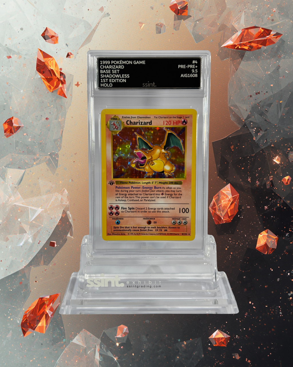 SSINT Premium Acrylic Graded Card Stand - ssint. Ltd - UK CARD GRADING