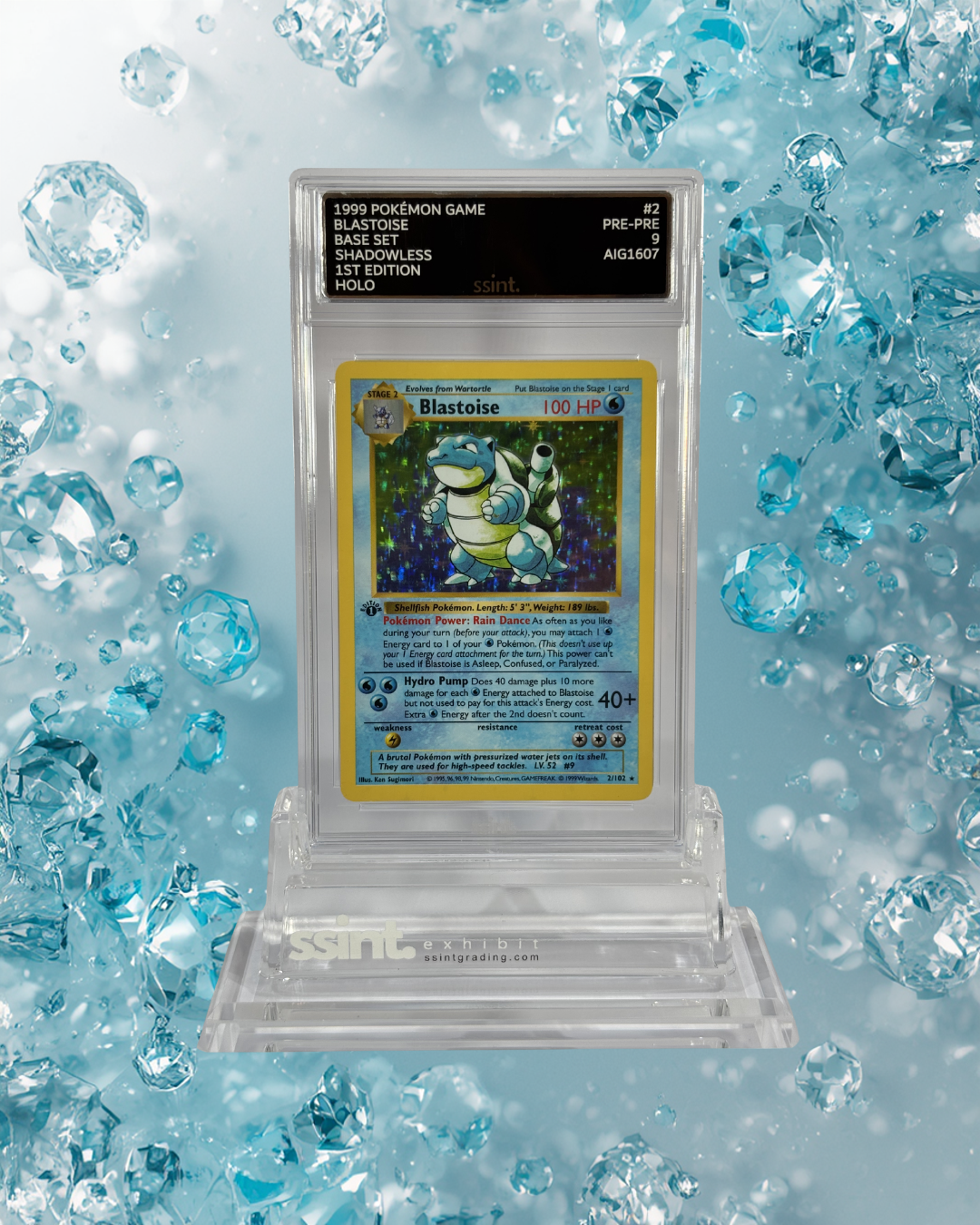 SSINT Premium Acrylic Graded Card Stand - ssint. Ltd - UK CARD GRADING
