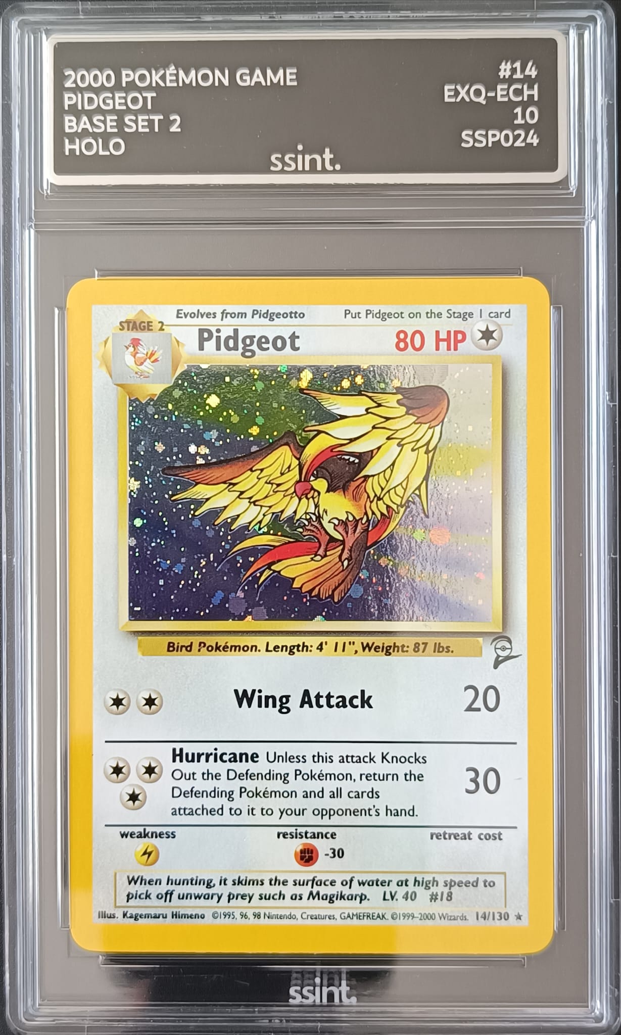 PIDGEOT BASE SET 2